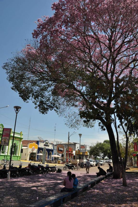Dia lindo na cidade de Cáceres, no Mato Grosso